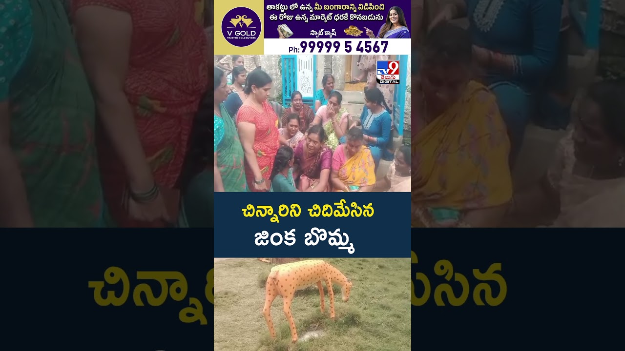చిన్నారిని చిదిమేసిన జింక బొమ్మ – TV9 చిన్నారిని చిదిమేసిన జింక బొమ్మ – TV9