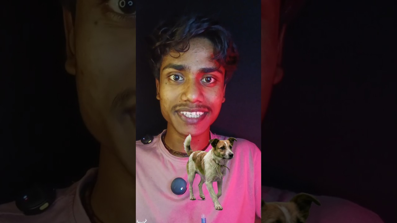 মহাকাশে সবার প্রথমে গিয়েছিল একটি কুকুর♥️🐶#horror #story#scary মহাকাশে সবার প্রথমে গিয়েছিল একটি কুকুর♥️🐶#horror #story#scary