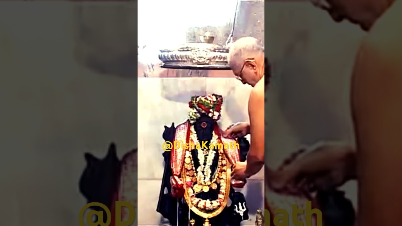 Jai Guru Dev Jai Swamy #guruji #swamy #jaiguruji #guruji Jai Guru Dev Jai Swamy #guruji #swamy #jaiguruji #guruji