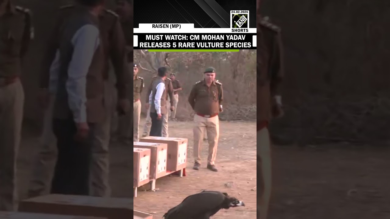 WATCH: CM Mohan Yadav releases 5 rare vulture species in Halali Dam of Raisen district WATCH: CM Mohan Yadav releases 5 rare vulture species in Halali Dam of Raisen district