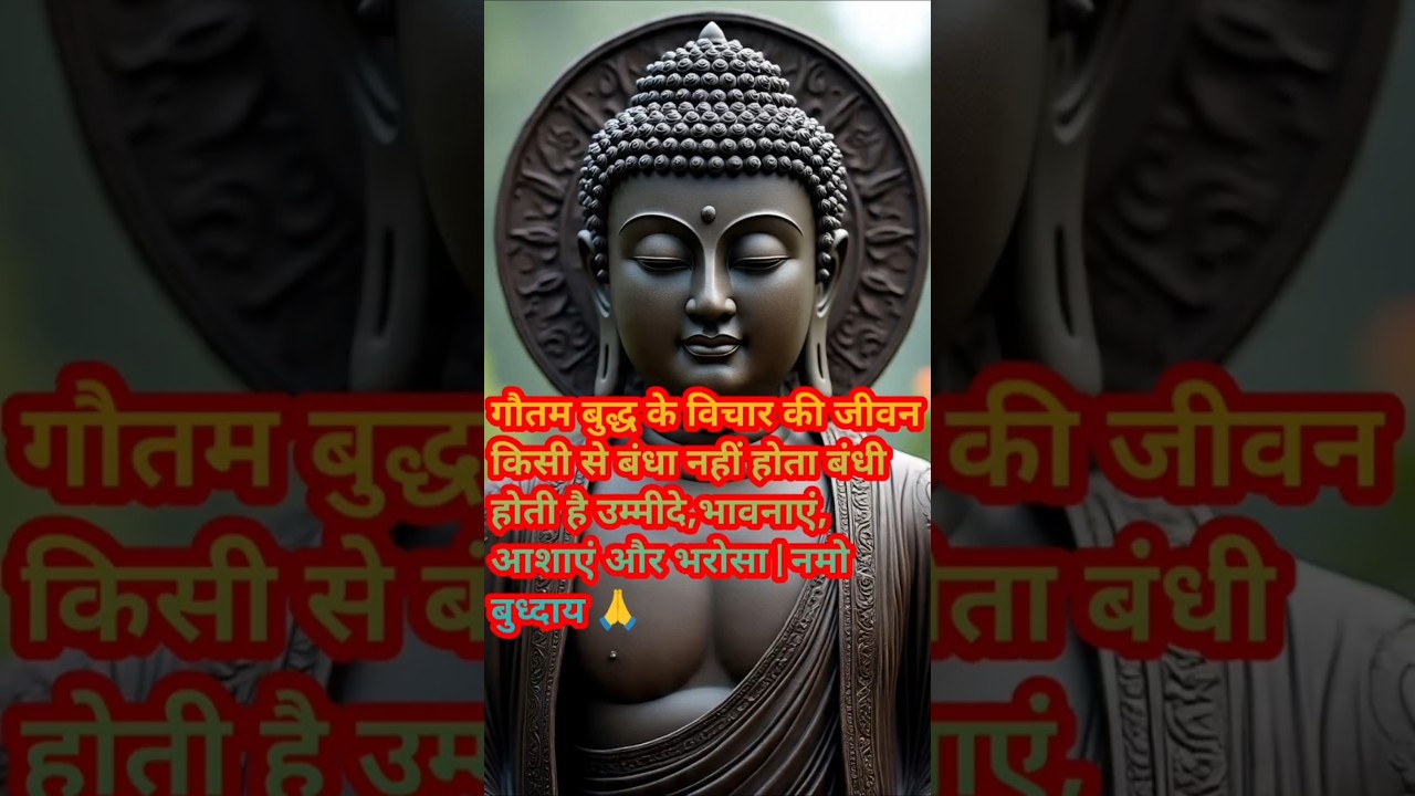 जीवन किसी से बंधा नहीं होता बंधी होती है उम्मीदे, भावनाएं, आशाएं और भरोसा | #हर दिन एक सीख जीवन किसी से बंधा नहीं होता बंधी होती है उम्मीदे, भावनाएं, आशाएं और भरोसा | #हर दिन एक सीख
