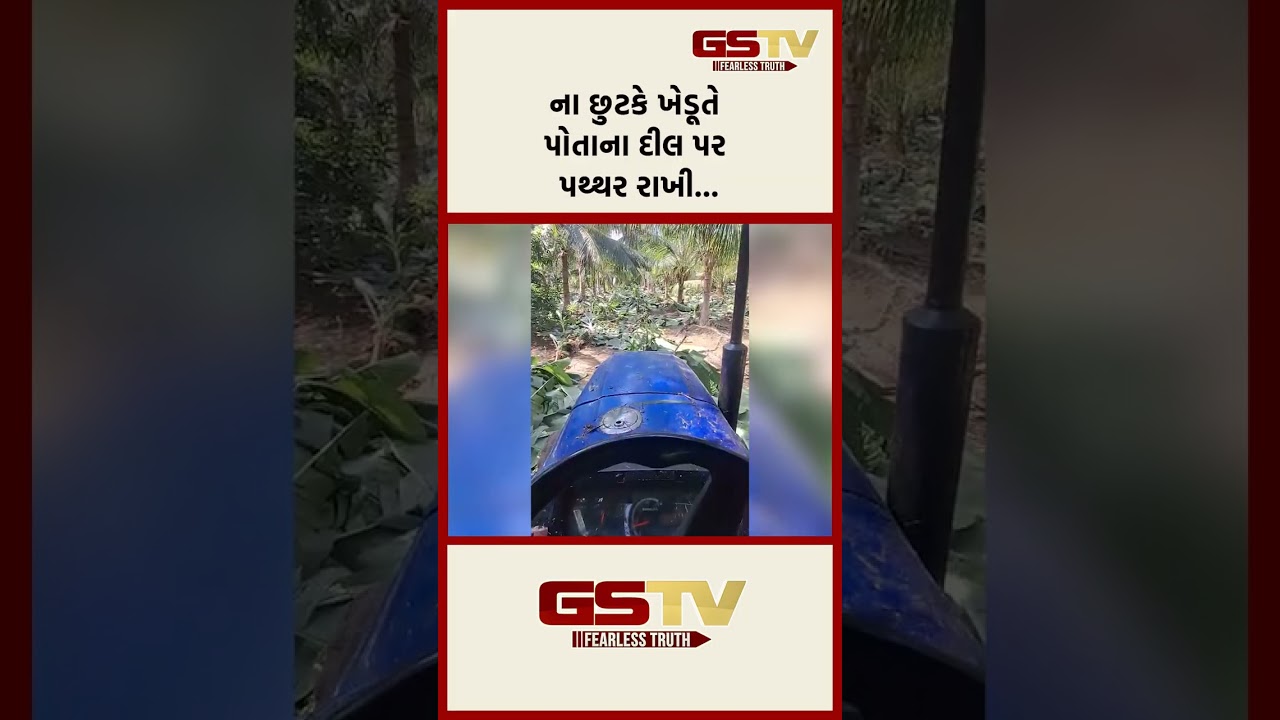 ના છુટકે ખેડૂતે પોતાના દીલ પર પથ્થર રાખી… ના છુટકે ખેડૂતે પોતાના દીલ પર પથ્થર રાખી…