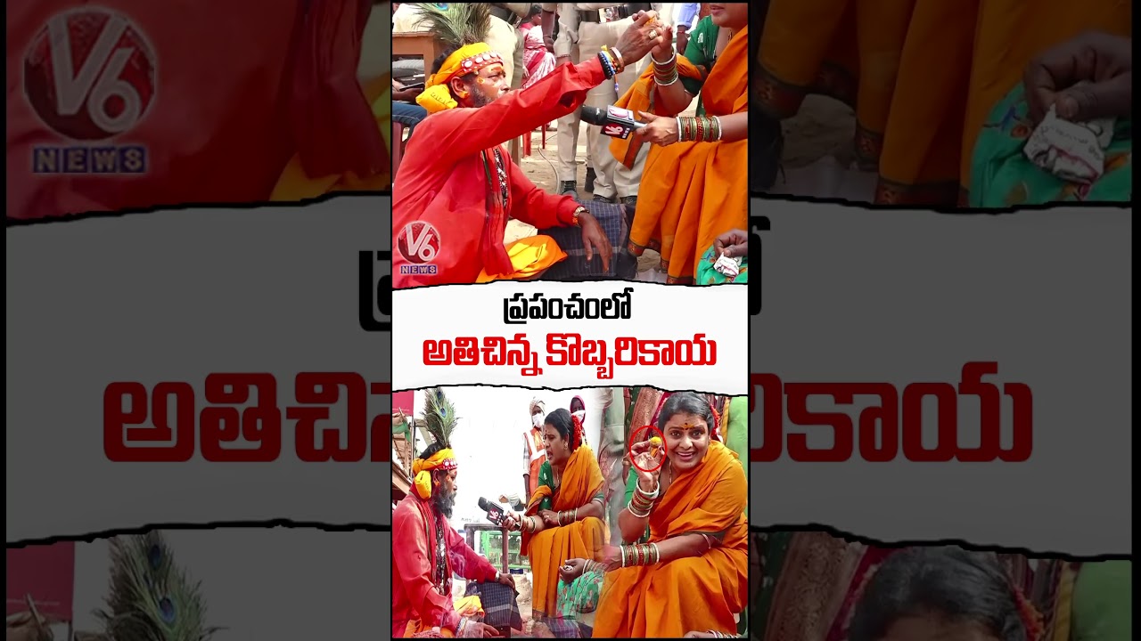 World Smallest Coconut : Teenmaar Chandravva With Koya Dora | Medaram Jatara 2026 | V6 News World Smallest Coconut : Teenmaar Chandravva With Koya Dora | Medaram Jatara 2026 | V6 News