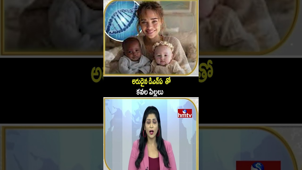 To The Point | అరుదైన డిఎన్ఏ తో కవల పిల్లలు | hmtv To The Point | అరుదైన డిఎన్ఏ తో కవల పిల్లలు | hmtv