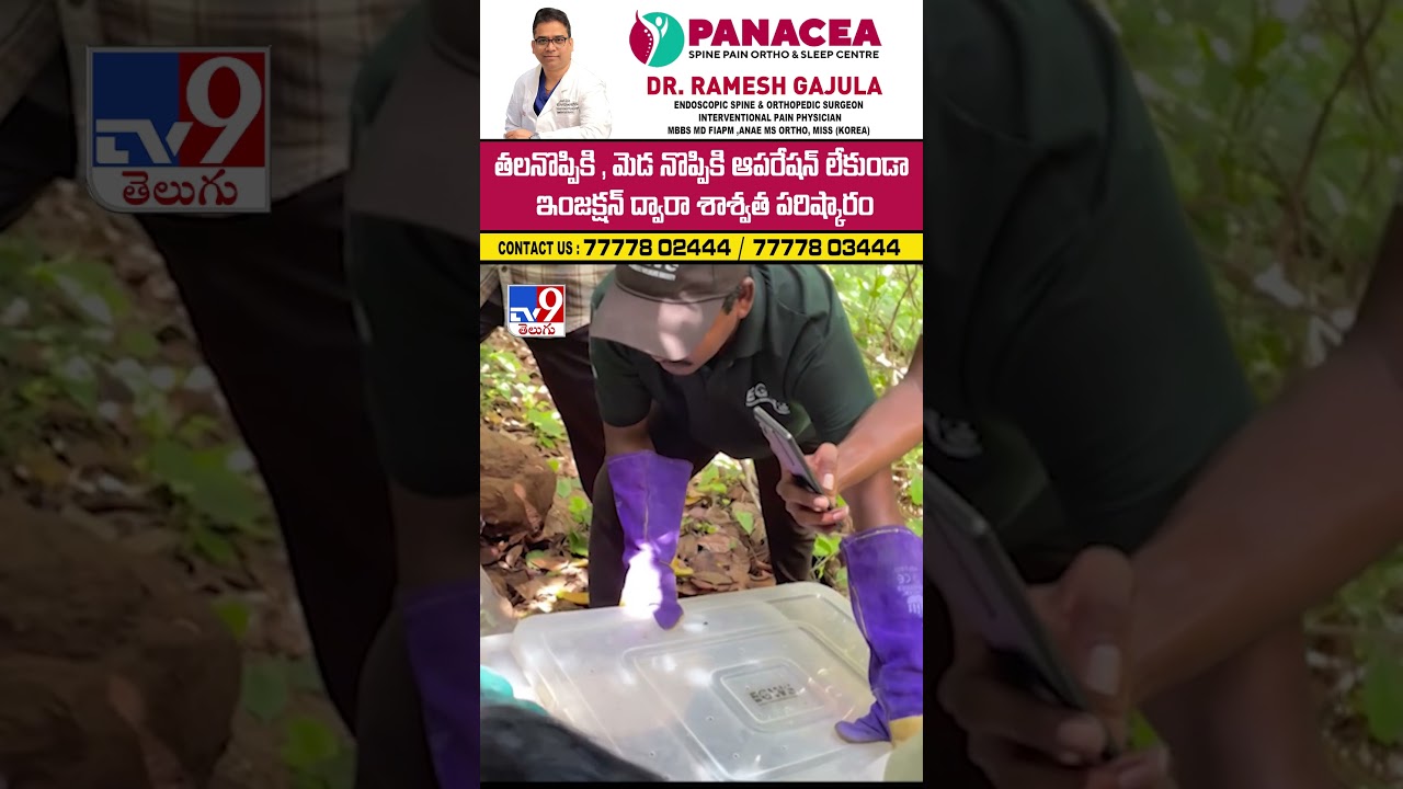 30 పిల్ల గిరి నాగులకు ప్రాణం పోశారు -TV9 30 పిల్ల గిరి నాగులకు ప్రాణం పోశారు -TV9