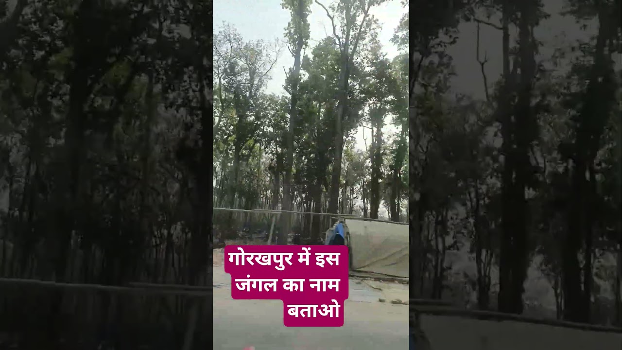 #jungle#gorakhpur#horror#story #jungle#gorakhpur#horror#story