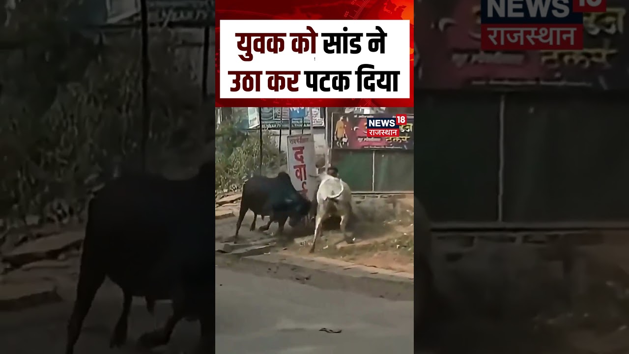 #viralvideo युवक को सांड ने उठा कर पटक दिया | N18S | #shortsvideo #shorts #viralnews #viralvideo युवक को सांड ने उठा कर पटक दिया | N18S | #shortsvideo #shorts #viralnews