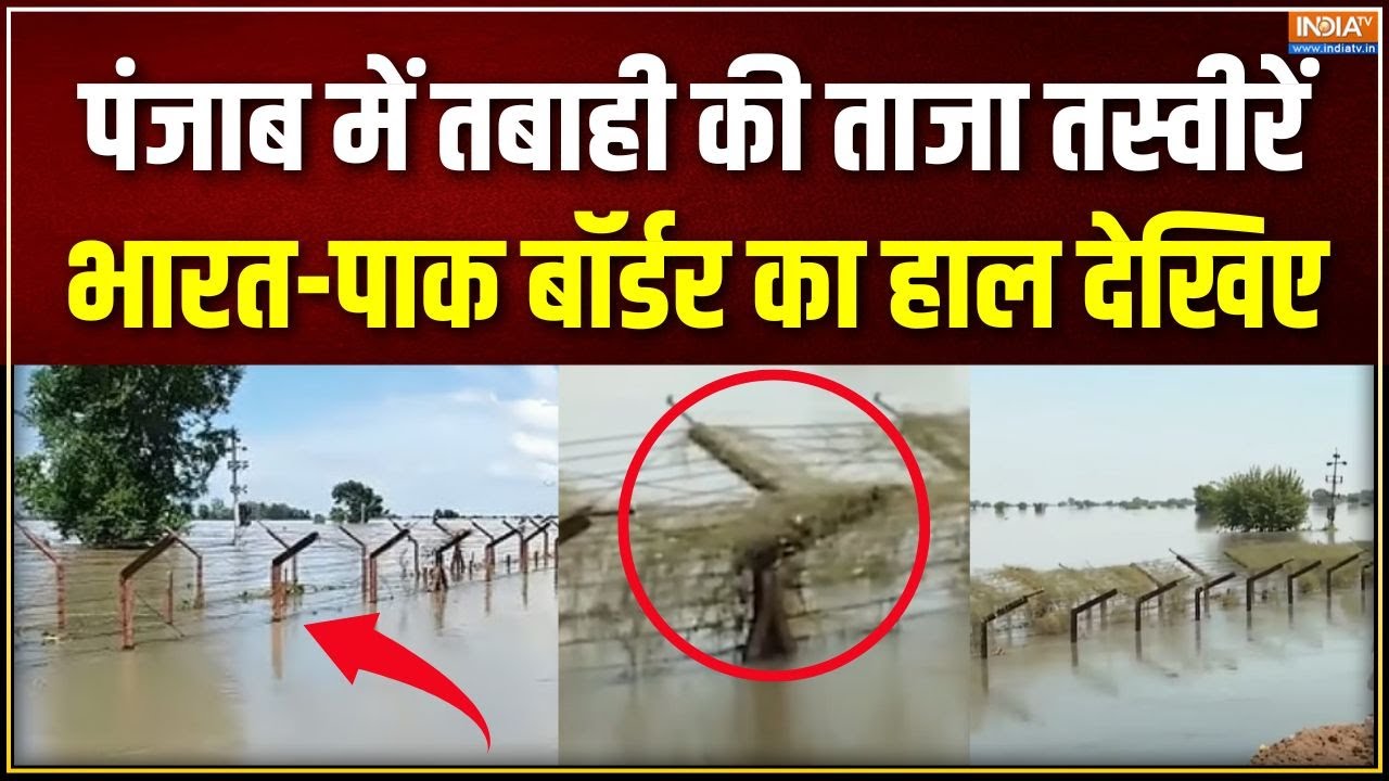 Punjab Flood Update : पंजाब बॉर्डर तक लबालब, बेकाबू रावी व्यास सतलज! | India-Pak Border | Firozpur Punjab Flood Update : पंजाब बॉर्डर तक लबालब, बेकाबू रावी व्यास सतलज! | India-Pak Border | Firozpur