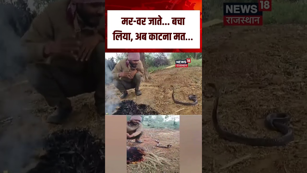 MP Man Snake Viral Video : सांप से बातें करते युवक का Video Viral! | N18S | Top News | Viral Video MP Man Snake Viral Video : सांप से बातें करते युवक का Video Viral! | N18S | Top News | Viral Video
