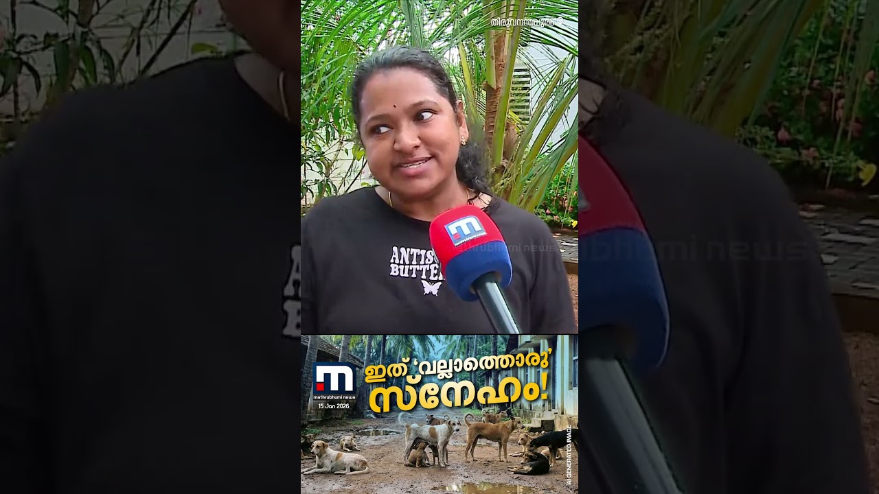 പോലീസുകാരിയുടെ ‘നായസ്നേഹ’ത്തിൽ പൊറുതിമുട്ടി നാട്ടുകാർ…ദുരവസ്ഥ! | Stray Dog | Kerala Police പോലീസുകാരിയുടെ ‘നായസ്നേഹ’ത്തിൽ പൊറുതിമുട്ടി നാട്ടുകാർ…ദുരവസ്ഥ! | Stray Dog | Kerala Police