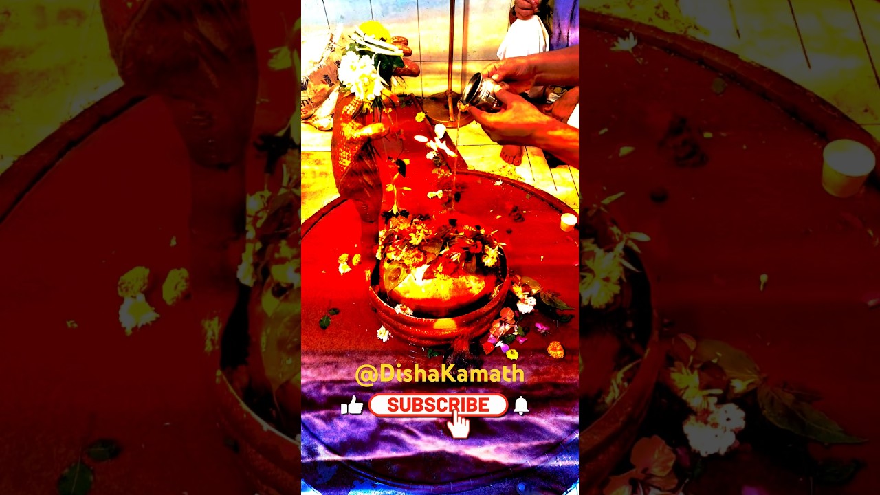 Har Har Shambhu Shiv Mahadeva #newsong #harharmahadev #shiv #shiva #shivshambhu Har Har Shambhu Shiv Mahadeva #newsong #harharmahadev #shiv #shiva #shivshambhu