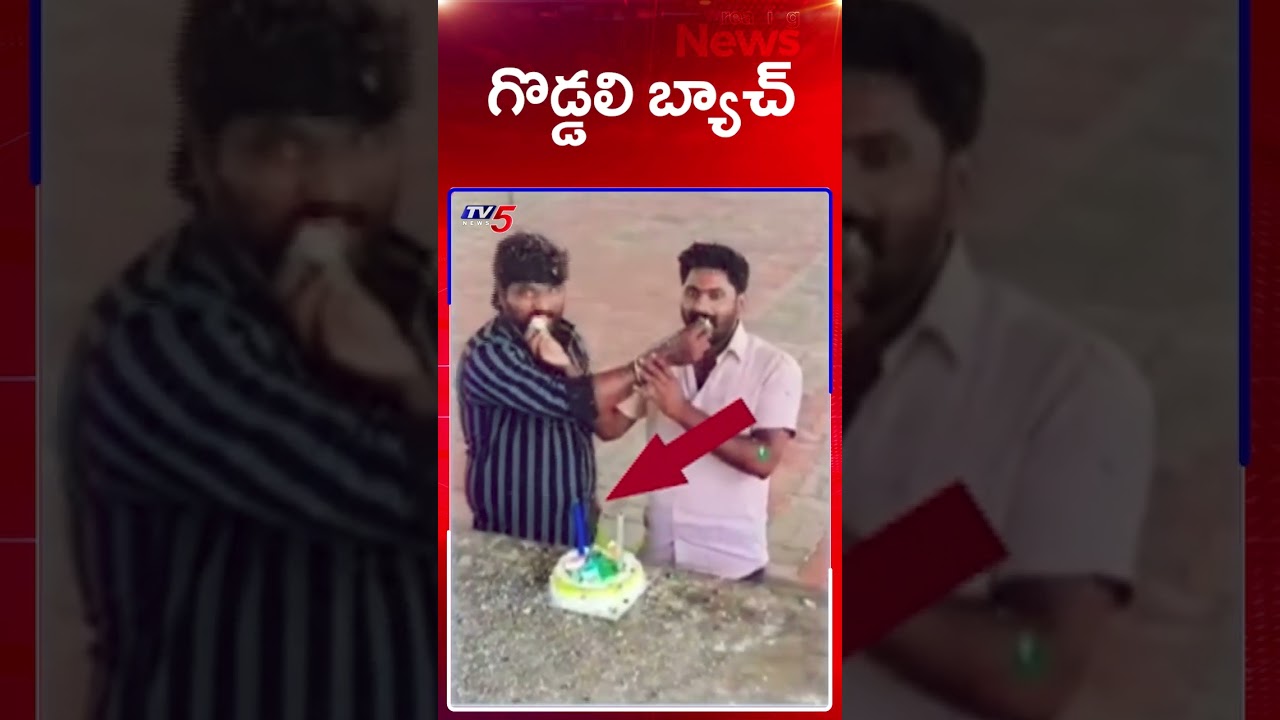 YSRCP Leaders Celebrates Birthday with AXE | AP News | TV5 News YSRCP Leaders Celebrates Birthday with AXE | AP News | TV5 News