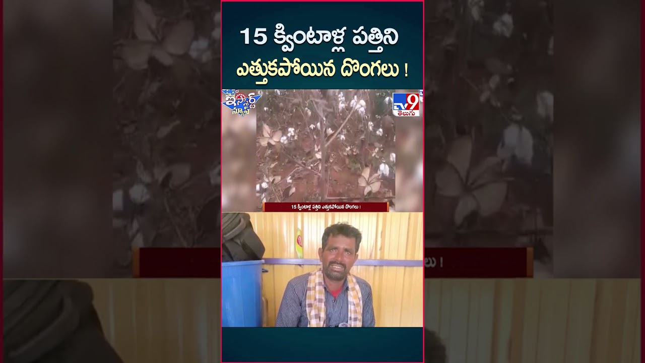 iSmart News : 15 క్వింటాళ్ల పత్తిని ఎత్తుకపోయిన దొంగలు ! | Cotton – TV9 iSmart News : 15 క్వింటాళ్ల పత్తిని ఎత్తుకపోయిన దొంగలు ! | Cotton – TV9