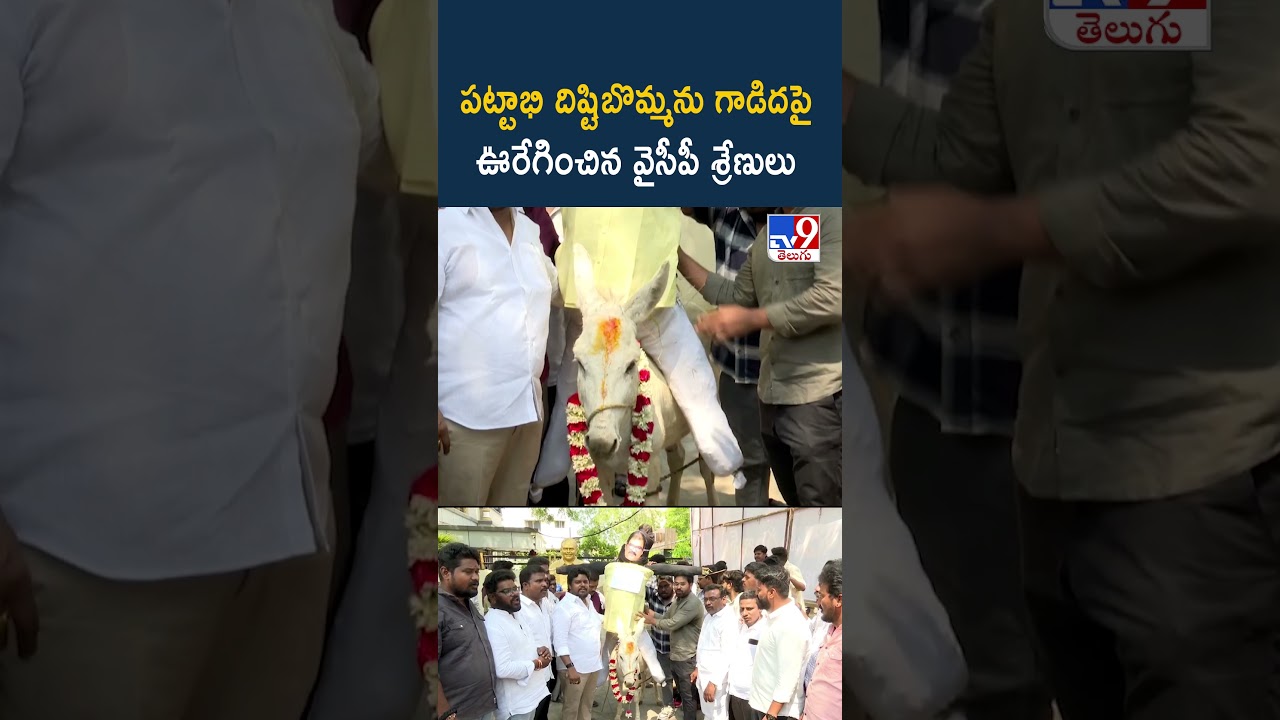 Politics of Andhra Pradesh | పట్టాభి దిష్టిబొమ్మను గాడిదపై ఊరేగించిన వైసీపీ శ్రేణులు – TV9 Politics of Andhra Pradesh | పట్టాభి దిష్టిబొమ్మను గాడిదపై ఊరేగించిన వైసీపీ శ్రేణులు – TV9