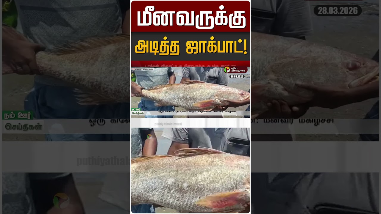 மீனவருக்கு அடித்த ஜாக்பாட்! | Kooral Fish | Rameswaram மீனவருக்கு அடித்த ஜாக்பாட்! | Kooral Fish | Rameswaram