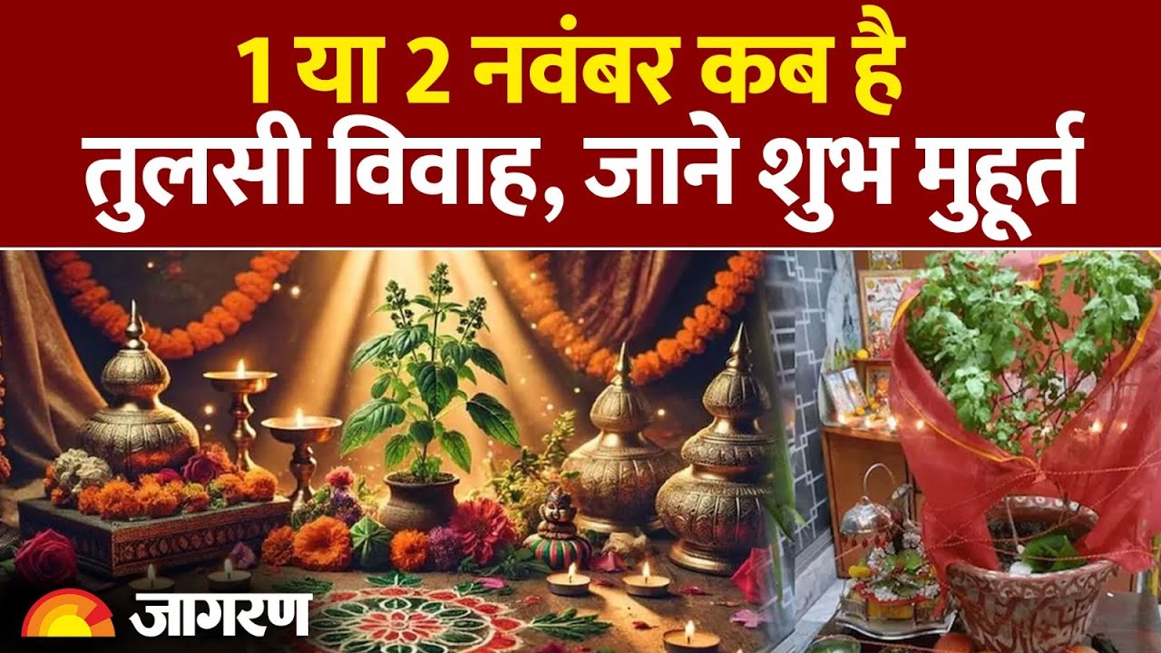Tulsi Vivah Kab Hai 2025 | Tulsi Vivah 2025 Date| तुलसी विवाह 2025 में देवउठनी एकादशी तुलसी विवाह Tulsi Vivah Kab Hai 2025 | Tulsi Vivah 2025 Date| तुलसी विवाह 2025 में देवउठनी एकादशी तुलसी विवाह