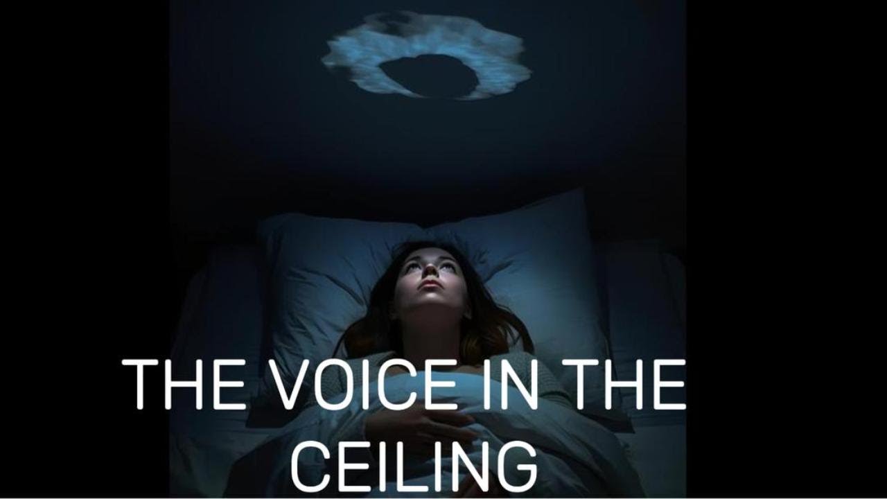 THE VOICE IN THE CEILING THE VOICE IN THE CEILING