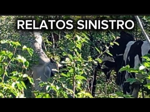 RELATOS SOBRENATURAL RELATOS SOBRENATURAL