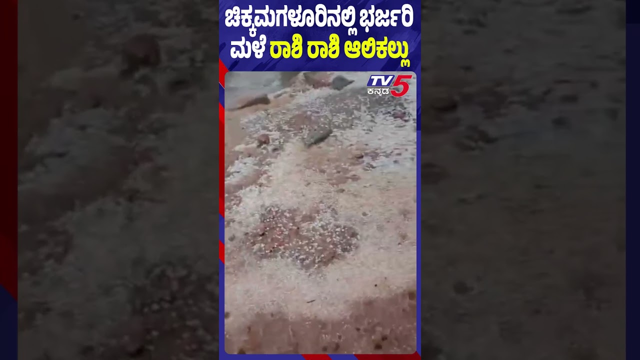 Heavy Rain In Chikkamagaluru | ಚಿಕ್ಕಮಗಳೂರಿನಲ್ಲಿ ಭರ್ಜರಿ ಮಳೆ ರಾಶಿ ರಾಶಿ ಆಲಿಕಲ್ಲು Heavy Rain In Chikkamagaluru | ಚಿಕ್ಕಮಗಳೂರಿನಲ್ಲಿ ಭರ್ಜರಿ ಮಳೆ ರಾಶಿ ರಾಶಿ ಆಲಿಕಲ್ಲು