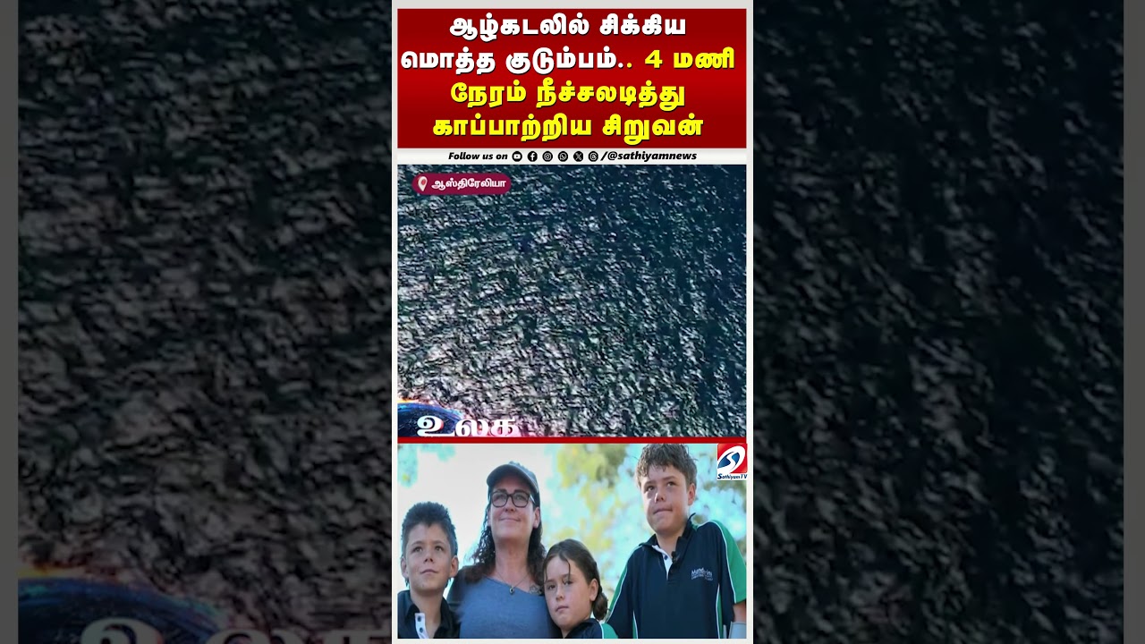 ஆழ்கடலில் சிக்கிய மொத்த குடும்பம்.. 4 மணி நேரம் நீச்சலடித்து காப்பாற்றிய சிறுவன் ஆழ்கடலில் சிக்கிய மொத்த குடும்பம்.. 4 மணி நேரம் நீச்சலடித்து காப்பாற்றிய சிறுவன்