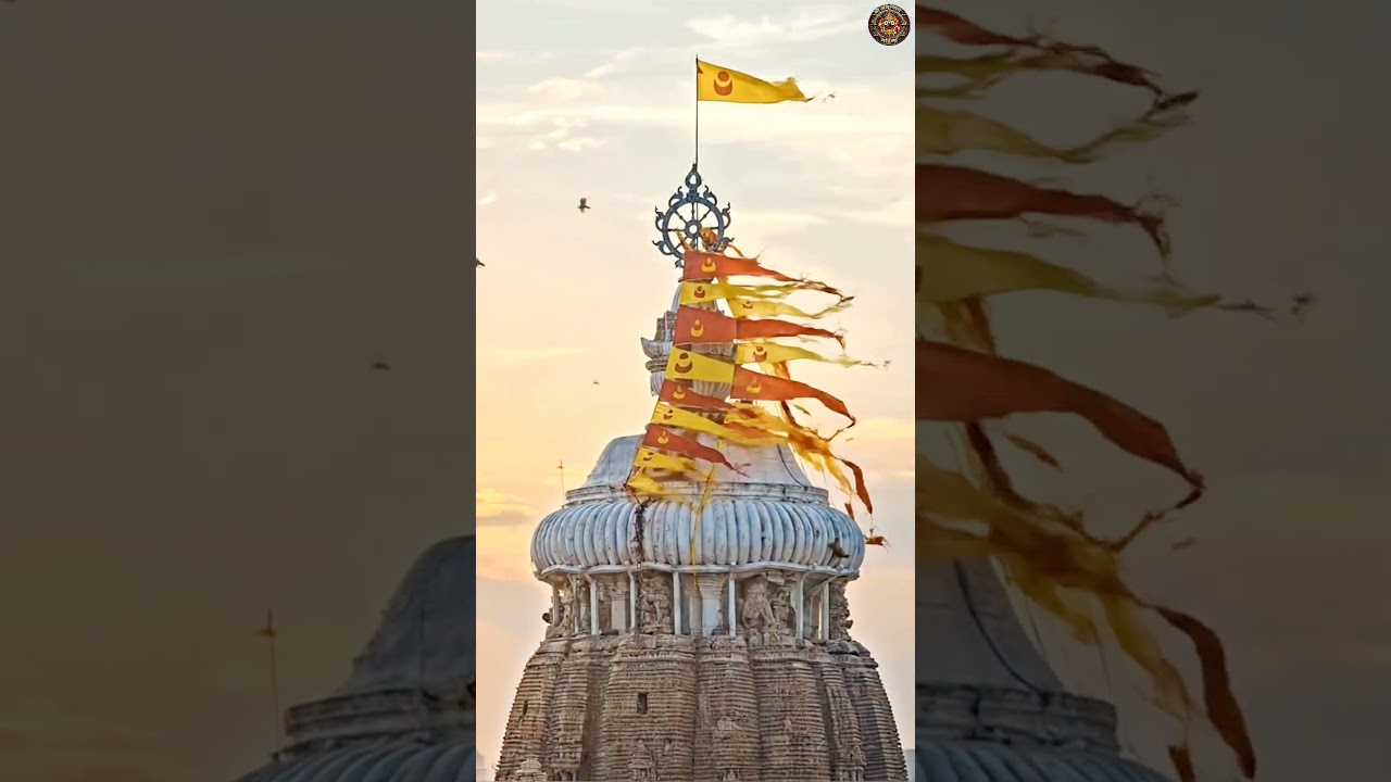 jagannath#jagannath#jaijagannath#jagannathrathyatra#jagannathpurilive#jagannathbhajan#jagannathpuri jagannath#jagannath#jaijagannath#jagannathrathyatra#jagannathpurilive#jagannathbhajan#jagannathpuri