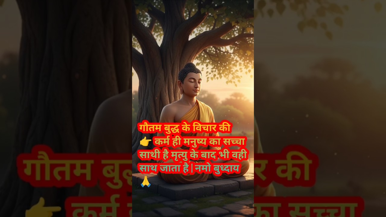 गौतम बुद्ध के विचार की कर्म ही मनुष्य का सच्चा साथी है | #shorts #ytshorts #motivat #हर दिन एक सीख गौतम बुद्ध के विचार की कर्म ही मनुष्य का सच्चा साथी है | #shorts #ytshorts #motivat #हर दिन एक सीख