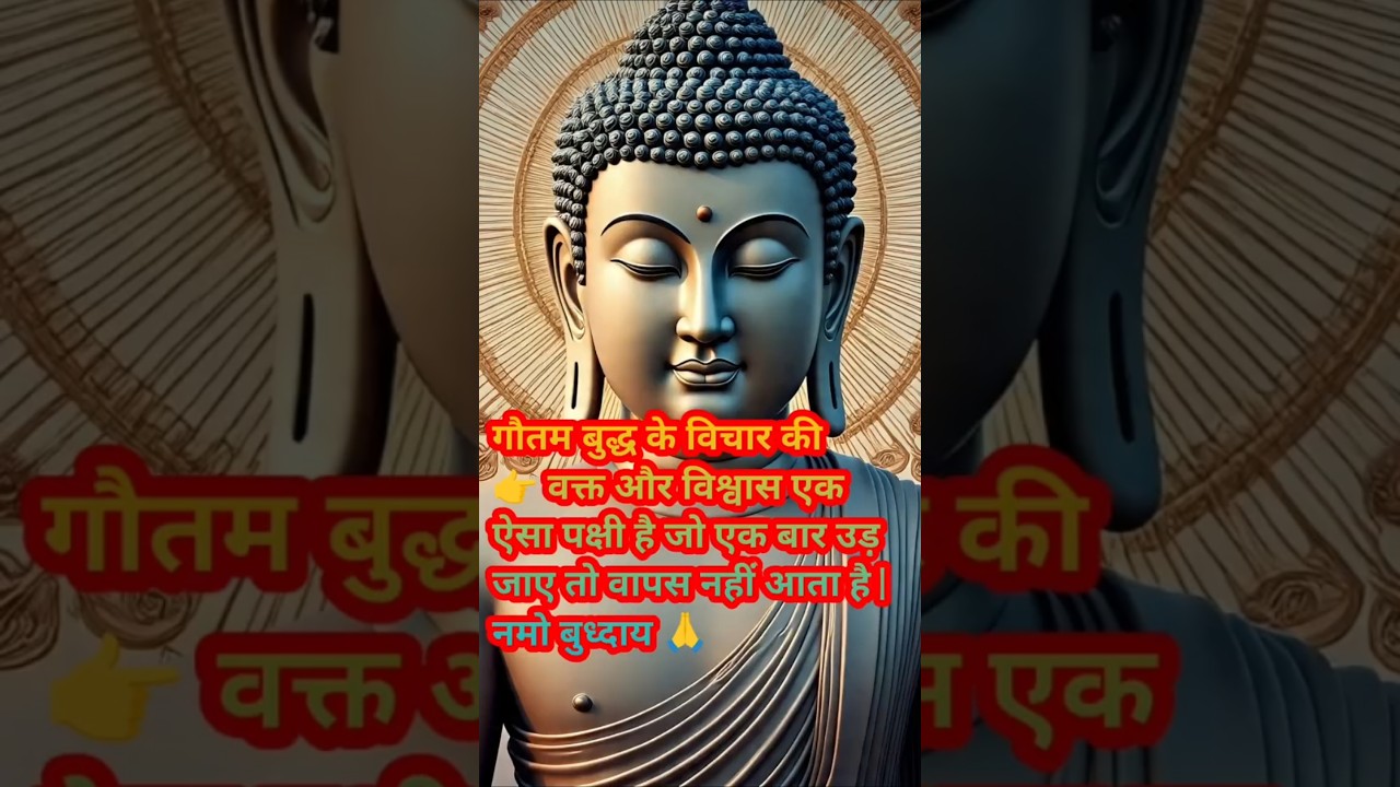 वक्त और विश्वास एक ऐसा पक्षी है जो उड़ने पर वापस नहीं आता वापस नहीं आता है#motivat #हर दिन एक सीख वक्त और विश्वास एक ऐसा पक्षी है जो उड़ने पर वापस नहीं आता वापस नहीं आता है#motivat #हर दिन एक सीख