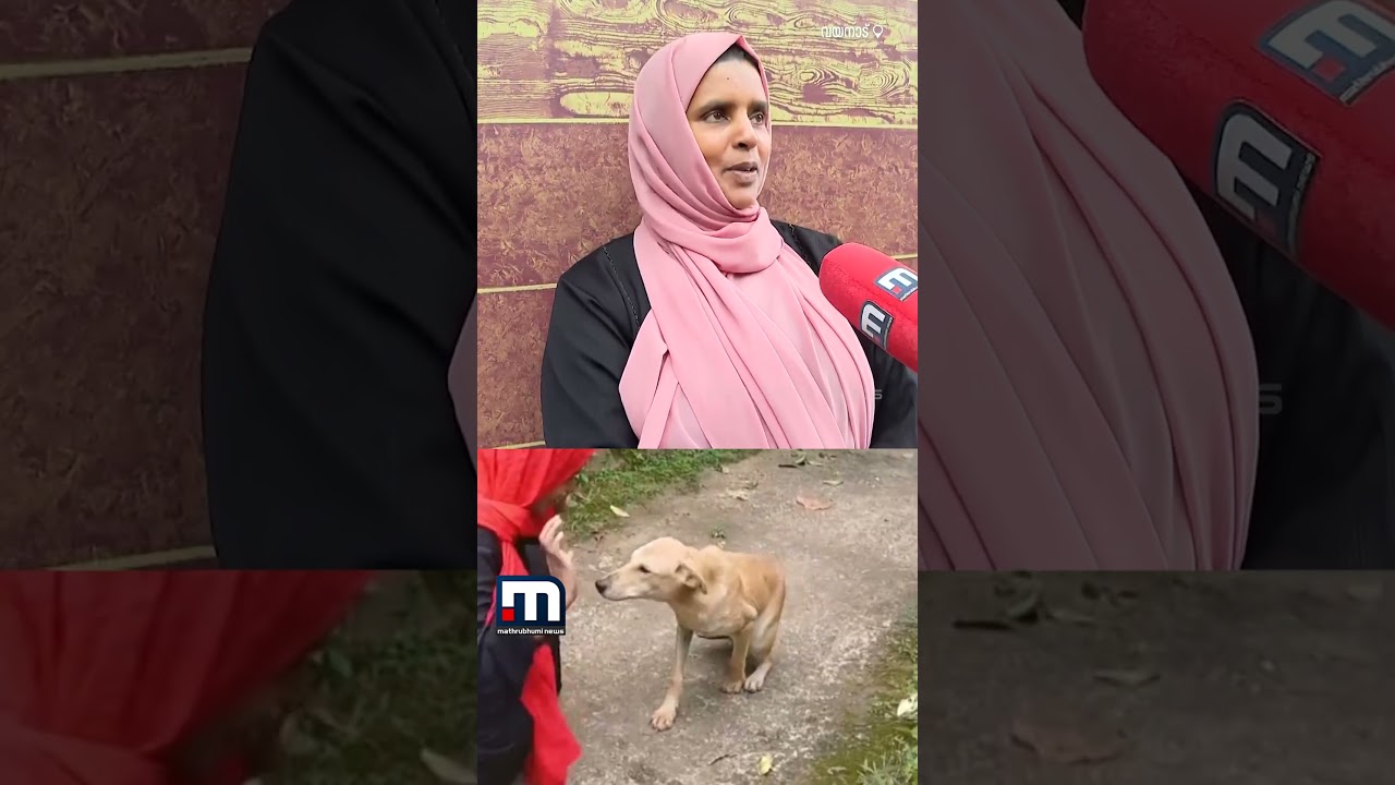 രക്ഷിച്ചതിന്റെ നന്ദി കാട്ടാൻ അവൻ വരും..; വായിൽ എല്ല് കുടുങ്ങിയ തെരുവുനായയ്ക്ക് രക്ഷകയായി നസീറ | Dog രക്ഷിച്ചതിന്റെ നന്ദി കാട്ടാൻ അവൻ വരും..; വായിൽ എല്ല് കുടുങ്ങിയ തെരുവുനായയ്ക്ക് രക്ഷകയായി നസീറ | Dog