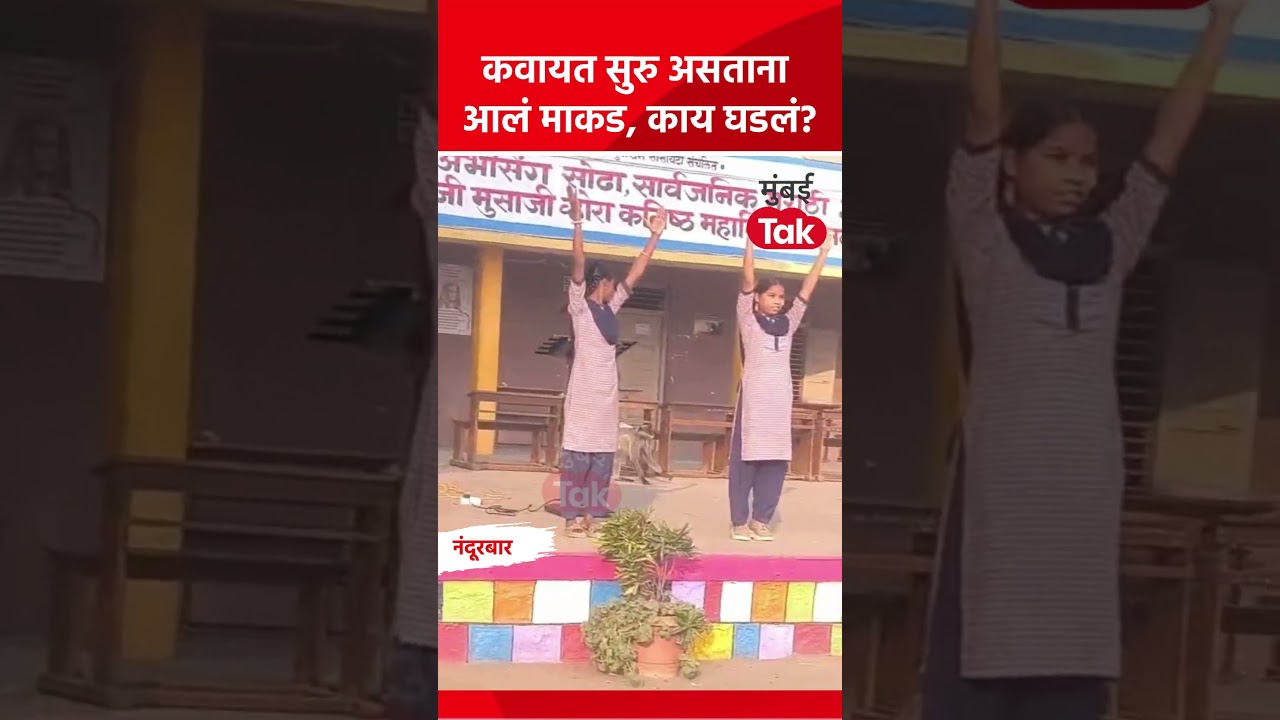 Nandurbar News | शाळेत विद्यार्थ्यांची कवायत सुरु असतानाच आलं माकड, पुढे काय घडलं? #Nandurbar Nandurbar News | शाळेत विद्यार्थ्यांची कवायत सुरु असतानाच आलं माकड, पुढे काय घडलं? #Nandurbar