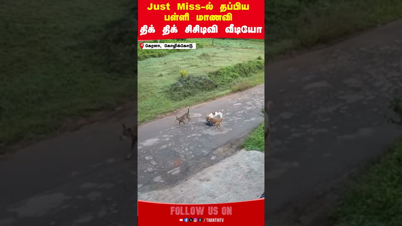 Stray dog || Schoolgirl || CCTV || Kerala || Kozhikode Stray dog || Schoolgirl || CCTV || Kerala || Kozhikode