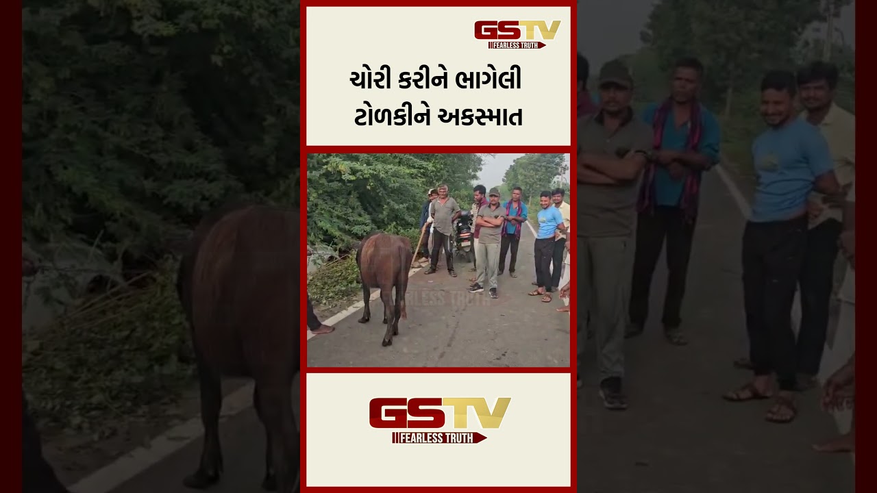 ચોરી કરીને ભાગેલી ટોળકીને અકસ્માત ચોરી કરીને ભાગેલી ટોળકીને અકસ્માત