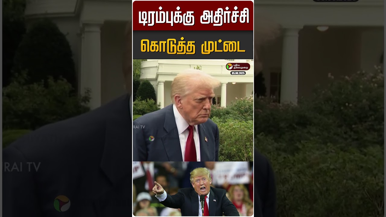 டிரம்புக்கு அதிர்ச்சி கொடுத்த முட்டை #Shorts #DonaldTrump டிரம்புக்கு அதிர்ச்சி கொடுத்த முட்டை #Shorts #DonaldTrump
