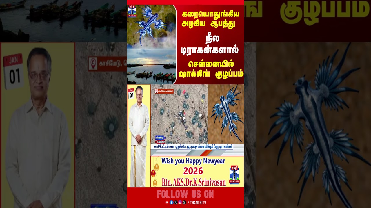 BlueDragon || Chennai || Kasimedu BlueDragon || Chennai || Kasimedu