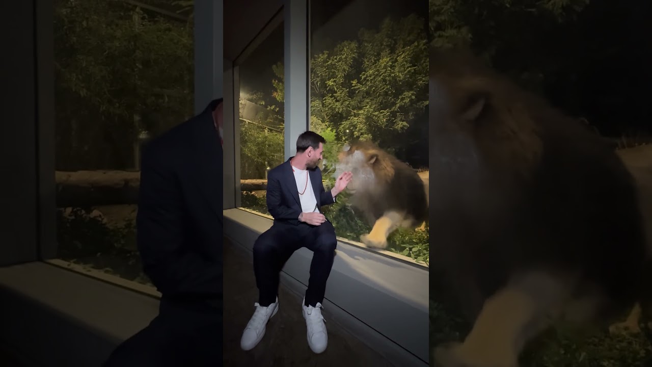 Messi at Vantara: Moved by Compassion and Care for Every Animal Messi at Vantara: Moved by Compassion and Care for Every Animal