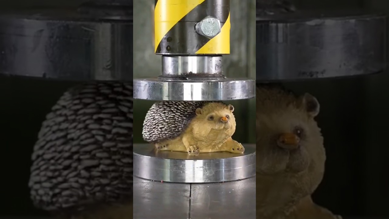 horror story one short #horror #story horror story one short #horror #story