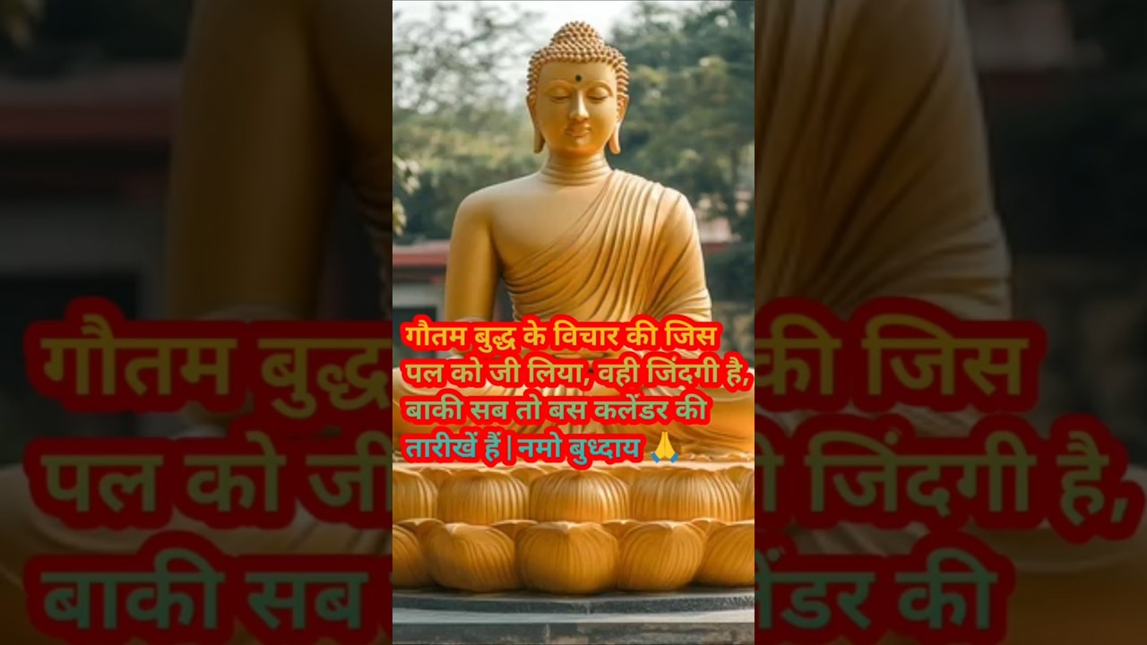 जिस पल को जी लिया वही जिंदगी है बाकी सब तो बस कलेंडर की तारीखें है | #shrots #हर दिन एक सीख जिस पल को जी लिया वही जिंदगी है बाकी सब तो बस कलेंडर की तारीखें है | #shrots #हर दिन एक सीख