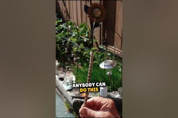 How to DIY electroculture for gardening How to DIY electroculture for gardening