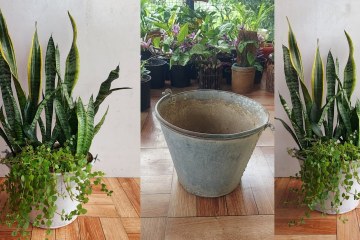 A Simple Way to Transform an Old Bucket into a Beautiful Planter A Simple Way to Transform an Old Bucket into a Beautiful Planter