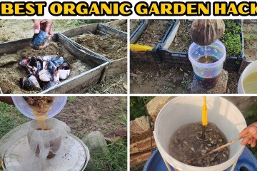 Ep12. DIY Sprinter van conversion | installing MaxxAir fans for Ventilation Ep12. DIY Sprinter van conversion | installing MaxxAir fans for Ventilation