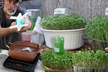 Amateur Gardener Breaks the Internet Again with Easy Grow System Amateur Gardener Breaks the Internet Again with Easy Grow System