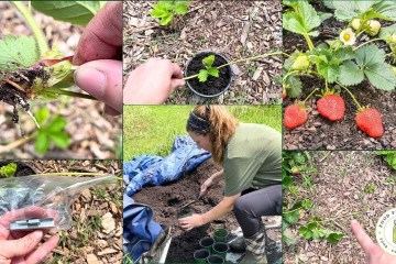 Adorable Polymer Clay Crafts You’ll Love Adorable Polymer Clay Crafts You’ll Love