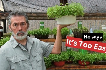 Old Man Puts Gardening Industry into PANIC as he Shows the World How to Grow Food Old Man Puts Gardening Industry into PANIC as he Shows the World How to Grow Food