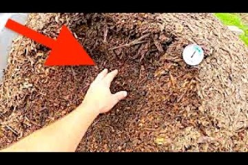 How to Get Free Heat For Your Greenhouse, Garage, Or Home | Solar Jean-Pain Compost Heating Ep.6 How to Get Free Heat For Your Greenhouse, Garage, Or Home | Solar Jean-Pain Compost Heating Ep.6