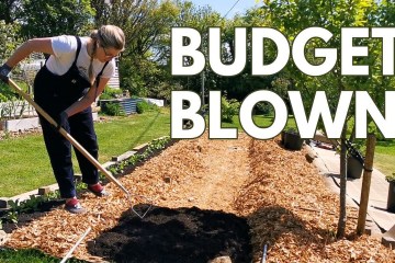 New * NEXT LEVEL* Dollar Tree Solar Light Hacks! New * NEXT LEVEL* Dollar Tree Solar Light Hacks!