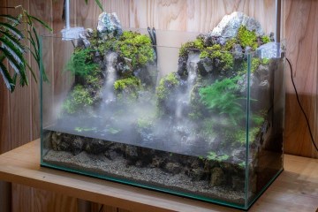 Making an Aqua Terrarium with 2 flowing Waterfalls Making an Aqua Terrarium with 2 flowing Waterfalls