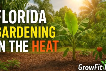 Florida Gardening: Grow Food in EXTREME Heat (7 Proven Tips!) Florida Gardening: Grow Food in EXTREME Heat (7 Proven Tips!)