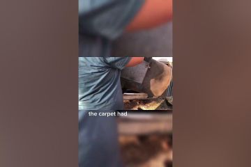 Van Build Conversion DIY Van Build Conversion DIY