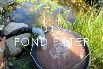 How To Make A Solar Powered Wildlife Pond Filter How To Make A Solar Powered Wildlife Pond Filter