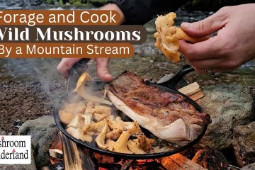 Single Mom & Daughter – Their DIY Camper Van Single Mom & Daughter – Their DIY Camper Van