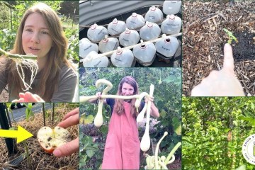 7 WEIRD Garden Practices That 10X My Production 7 WEIRD Garden Practices That 10X My Production